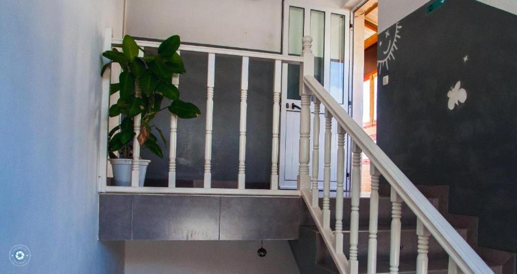 Kolina D'Sol Bed & Breakfast Ponta Do Sol Bagian luar foto